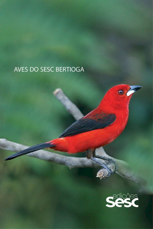  Aves do Sesc Bertioga(Kobo/電子書)