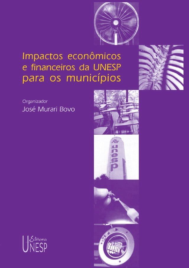  Impactos econ&ocirc;micos e financeiros da UNESP para os munic&iacute;pios(Kobo/電子書)