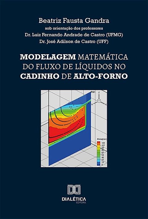 Modelagem matemática do fluxo de líquidos no cadinho de alto-forno(Kobo/電子書)