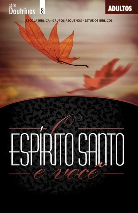 Espírito Santo e Você  Professor(Kobo/電子書)