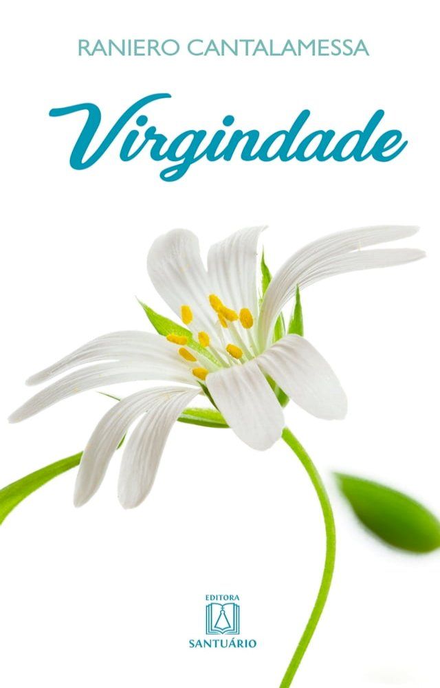  Virgindade(Kobo/電子書)