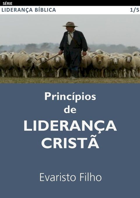 Princ&iacute;pios de Lideran&ccedil;a Crist&atilde;(Kobo/電子書)