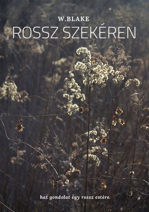 Rossz szek&eacute;ren(Kobo/電子書)