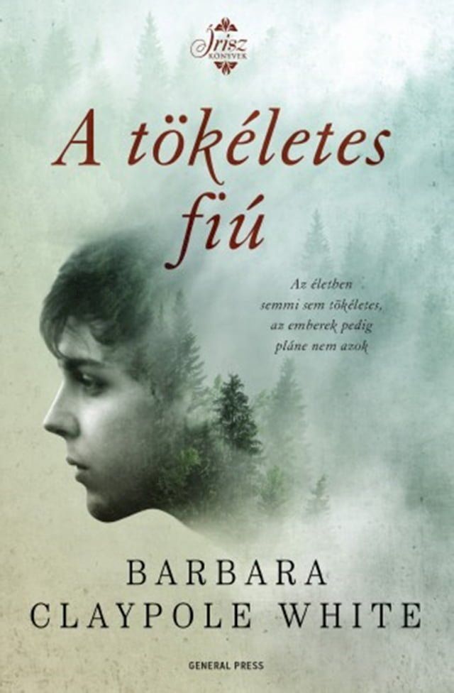  A tökéletes fiú(Kobo/電子書)