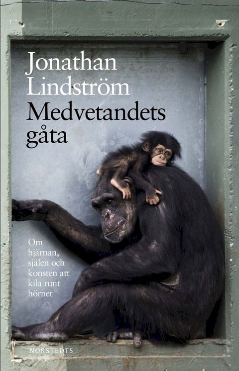 Medvetandets gåta : om hjärnan, själen och konsten att kila runt hörnet(Kobo/電子書)