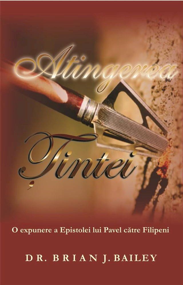  Atingerea Țintei(Kobo/電子書)