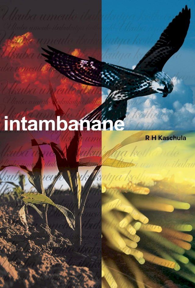  Intambanane(Kobo/電子書)