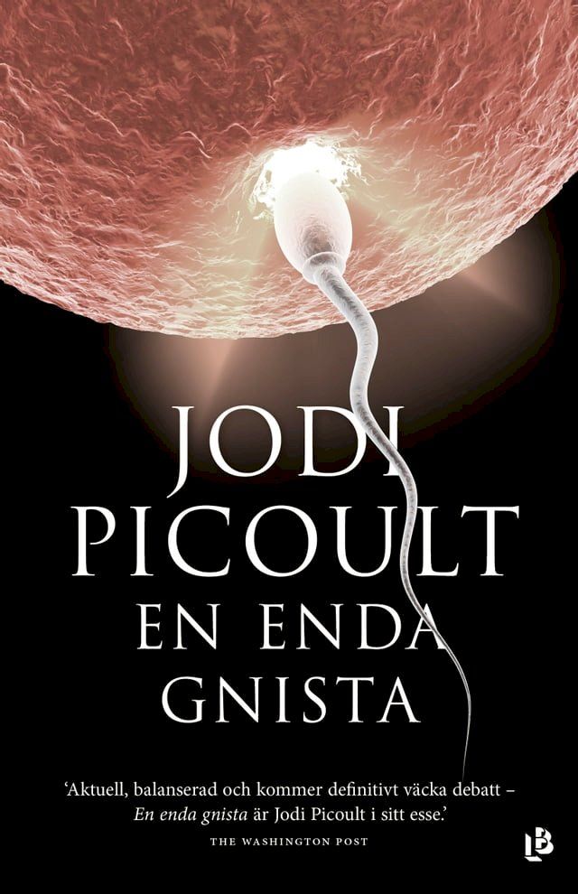  En enda gnista(Kobo/電子書)