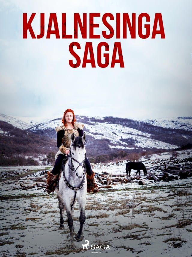  Kjalnesinga saga (Kobo/電子書)