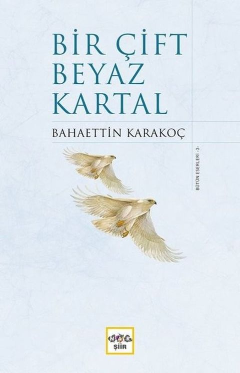 Bir &Ccedil;ift Beyaz Kartal(Kobo/電子書)