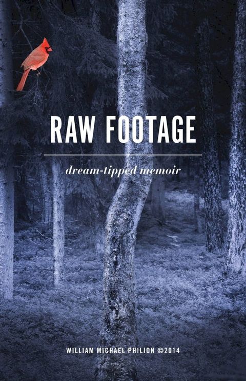 Raw Footage dream-tipped memoir(Kobo/電子書)