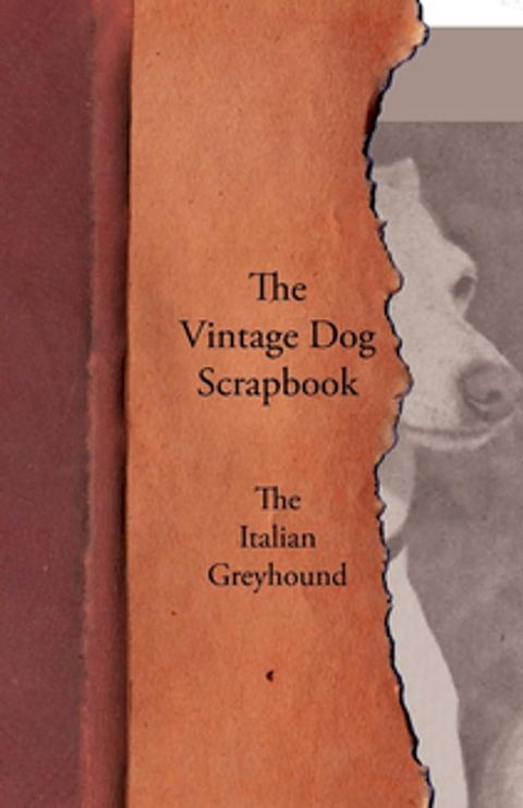 The Vintage Dog Scrapbook - The Italian Greyhound(Kobo/電子書)