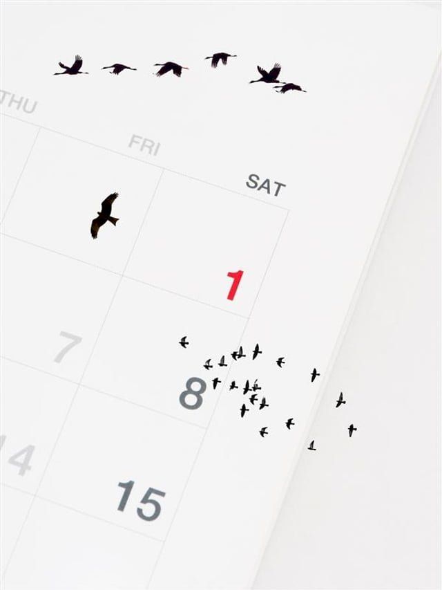  Birds In The Calendar(Kobo/電子書)