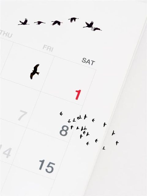 Birds In The Calendar(Kobo/電子書)