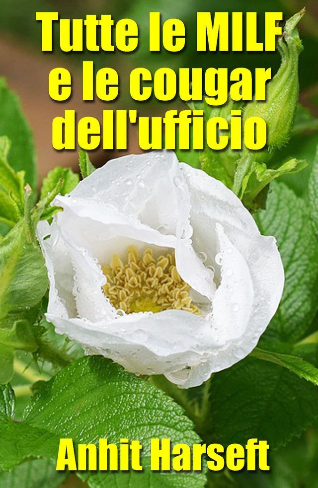  Tutte le MILF e le cougar dell'ufficio(Kobo/電子書)