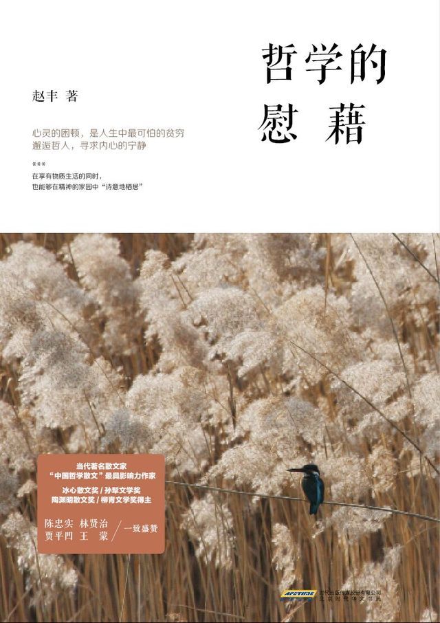  哲学的慰籍(Kobo/電子書)