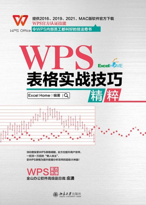 WPS 表格实战技巧精粹(Kobo/電子書)