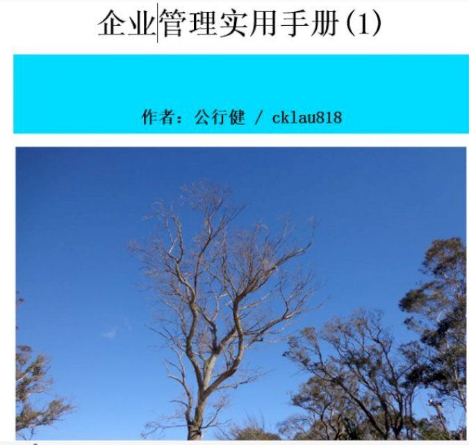  企业管理实用手册（1）(Kobo/電子書)