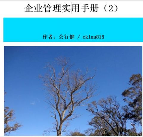 企业管理实用手册（2）(Kobo/電子書)