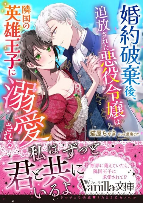 婚約破棄後、追放ⅴお冂悪役令嬢隣国攴...