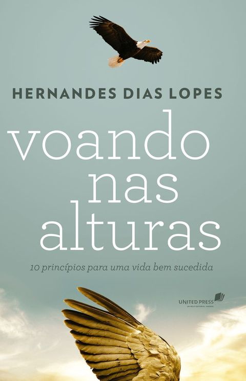 Voando nas alturas - 10 princ&iacute;pios para uma vida bem sucedida(Kobo/電子書)