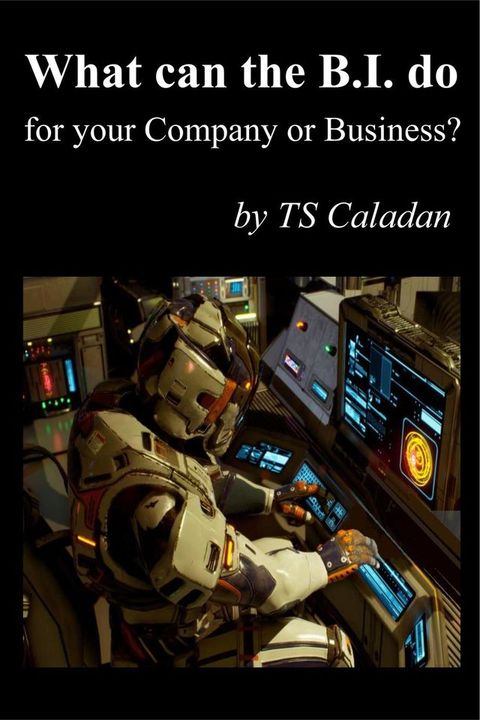 What can the B.I. do for your Company or Business(Kobo/電子書)