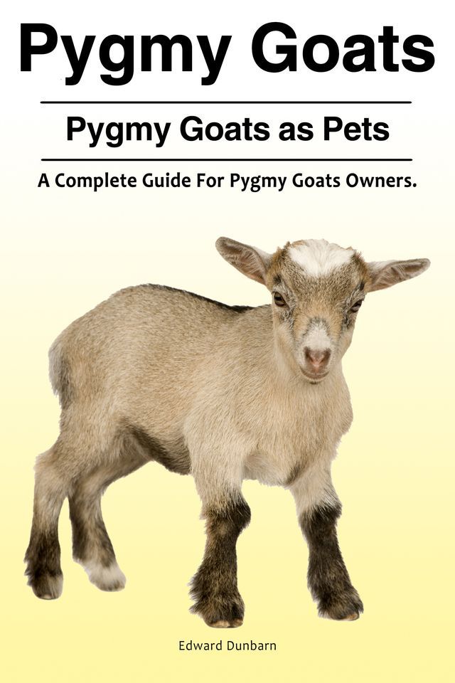  Pygmy Goats. Pygmy Goats as Pets: A Complete Guide For Pygmy Goats Owners.(Kobo/電子書)