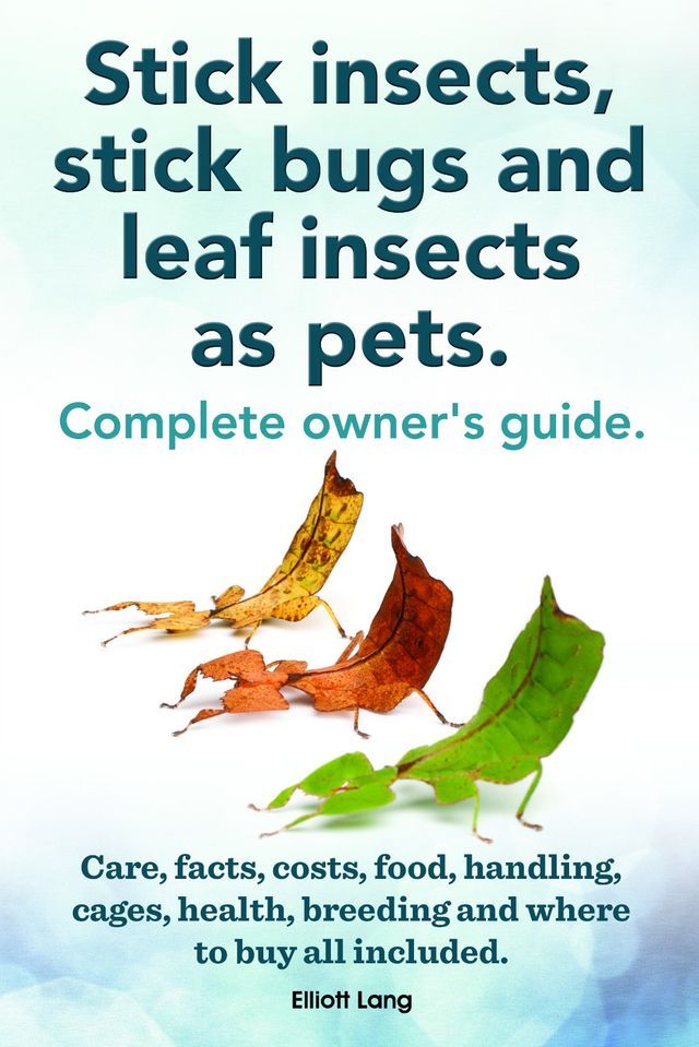  Stick insects, stick bugs and leaf insects as pets.: Stick insects care, facts, costs, food, handling, cages, health, breeding and where to buy all included. P(Kobo/電子書)