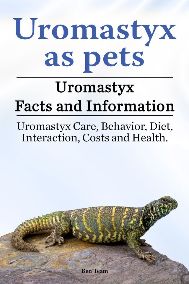  Uromastyx as pets. Uromastyx Facts and Information. Uromastyx Care, Behavior, Diet, Interaction, Costs and Health.(Kobo/電子書)