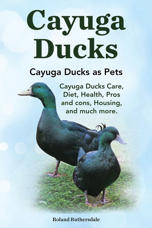  Cayuga Ducks. Cayuga Ducks as Pets. Cayuga Ducks Care, Diet, Health, Pros and cons, Housing, and much more.(Kobo/電子書)