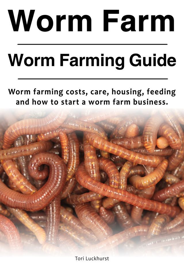  Worm Farm. Worm Farm Guide. Worm farm costs, care, housing, feeding and how to start a worm farm business.(Kobo/電子書)