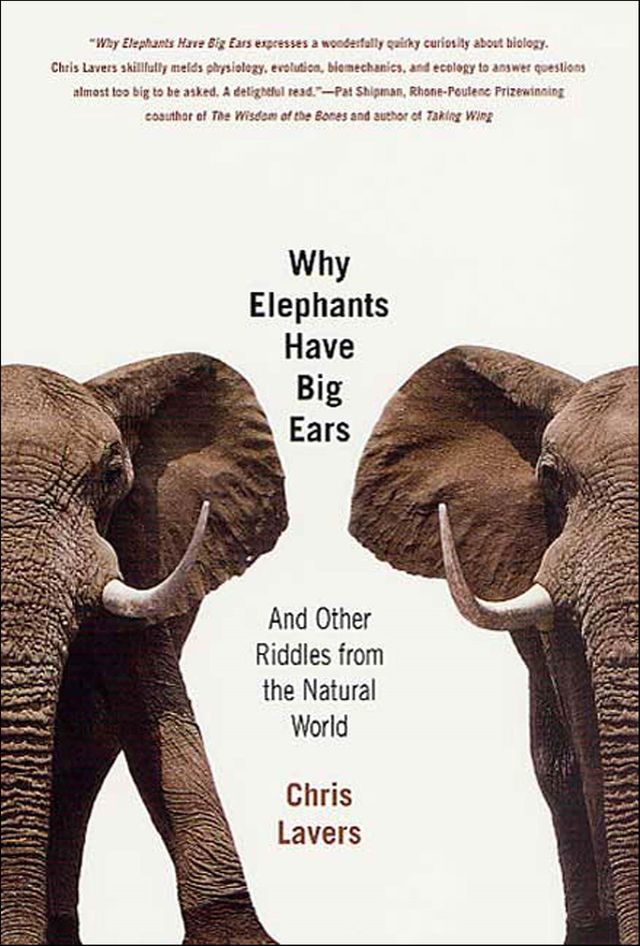  Why Elephants Have Big Ears(Kobo/電子書)