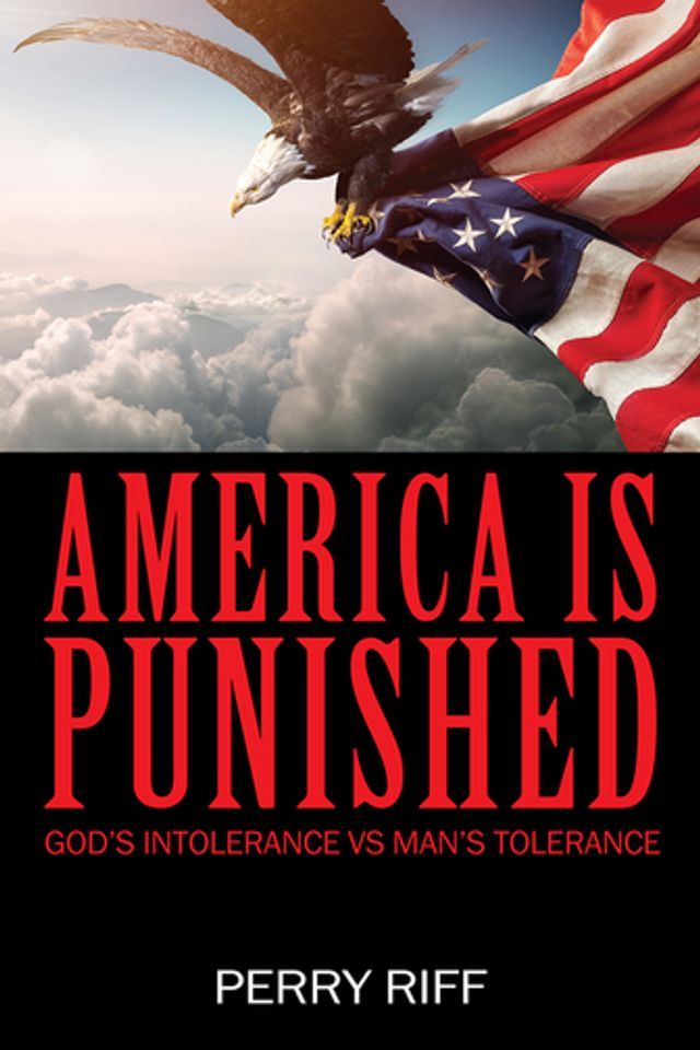  America is Punished(Kobo/電子書)