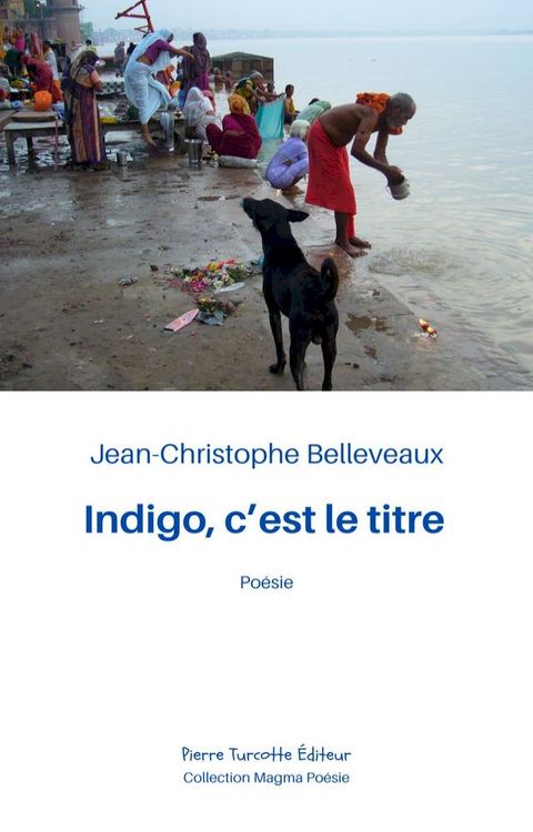 Indigo, c'est le titre(Kobo/電子書)