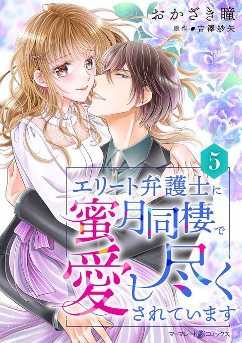 すエーべ弁護士蜜月同棲宀愛ⅶ尽⑼ⅴお夊⑧〇ⅸ【分冊版】5話(Kobo/電子書)