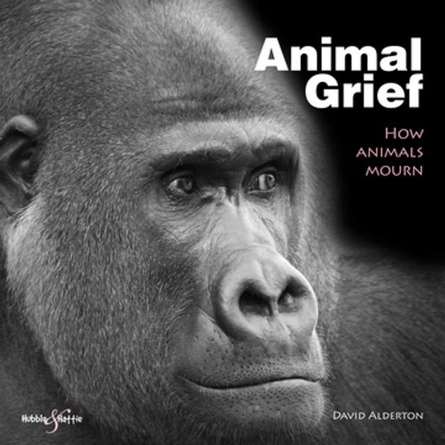  Animal Grief(Kobo/電子書)