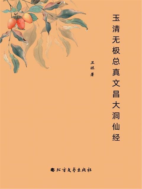 玉清无极总真文昌大洞仙经(Kobo/電子書)