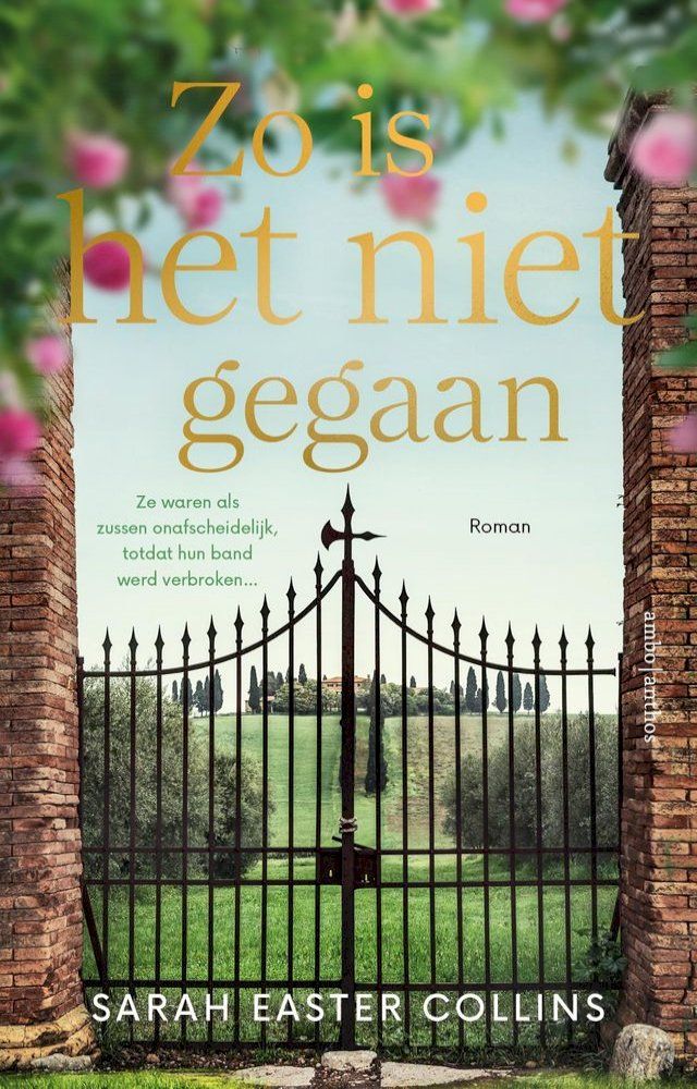  Zo is het niet gegaan(Kobo/電子書)