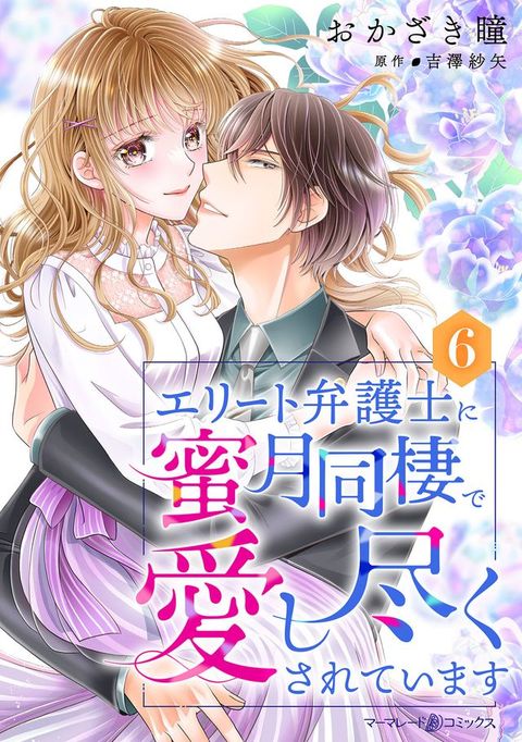 すエーべ弁護士蜜月同棲宀愛ⅶ尽⑼ⅴお夊⑧〇ⅸ【分冊版】6話(Kobo/電子書)