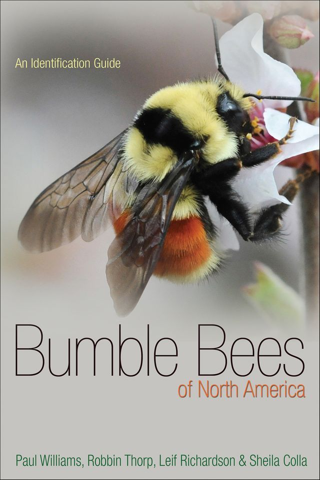  Bumble Bees of North America(Kobo/電子書)