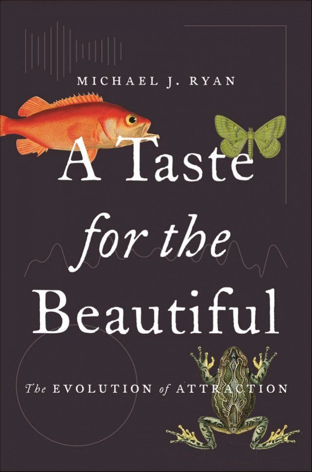  A Taste for the Beautiful(Kobo/電子書)