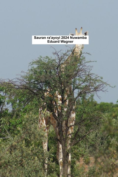 Sauran ra'ayoyi 2024 Nuwamba
