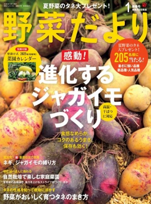 野菜冖うえ 2025年1月号