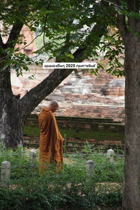 มุมมองอื่นๆ 2025 กุมภาพันธ์(Kobo/電子書)