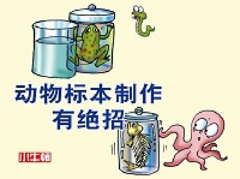 HyRead 動物標本製作有絕招 [有聲書](電子書)