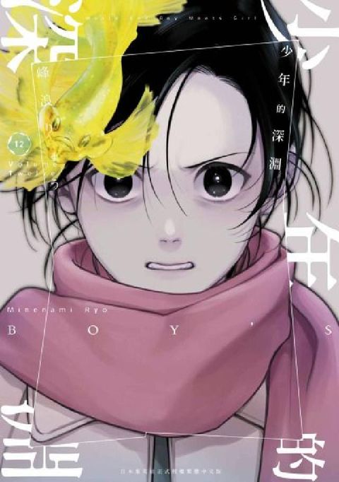 HyRead 少年的深淵. 12(電子書)