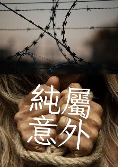 純屬意外(電子書)
