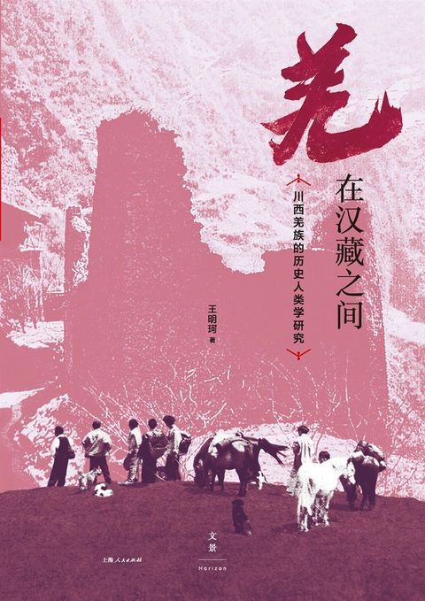 羌在汉藏之间：川西羌族的历史人类学研究（Pubu電子書）