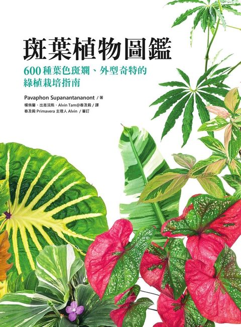 斑葉植物圖鑑：600種葉色斑斕、外型奇特的綠植栽培指南