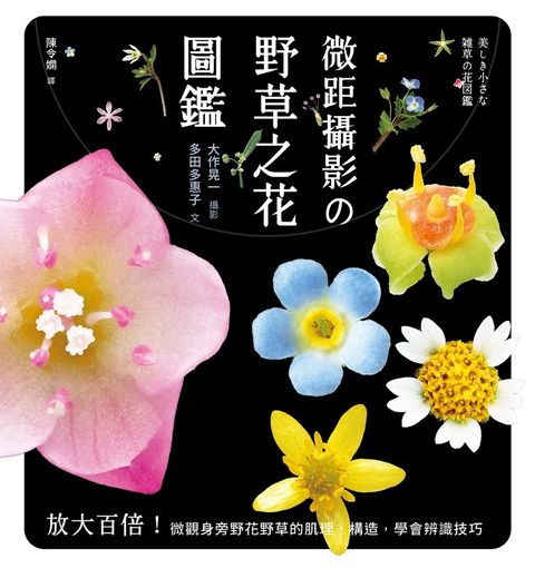 微距攝影攴野草之花圖鑑：放大百倍！微觀足下野花野草的肌理、構造，學會辨識技巧